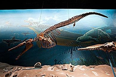 致敬吸血鬼《怪物猎人：崛起》大型资料片主题怪公布